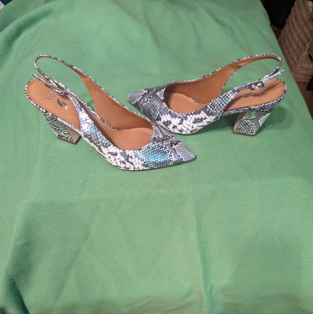 Sarto shoe